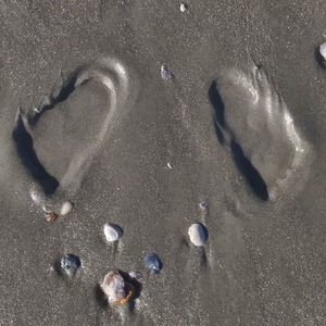 Meet your Posher, Kimberlea